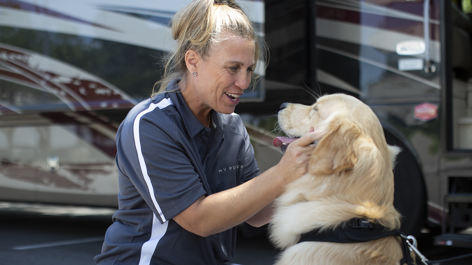 driver petting dog